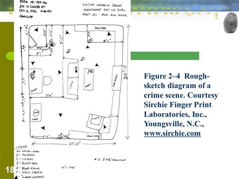 Define Rough Sketch At Explore Collection Of Define Rough Sketch