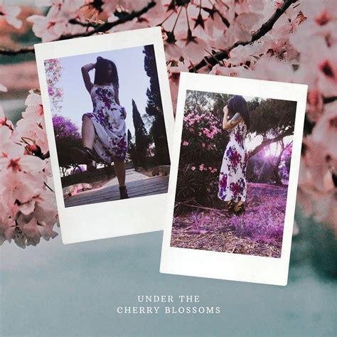 Two Polaroid Photos Of Cherry Blossom Trees With The Caption Under The Cherry Blossoms