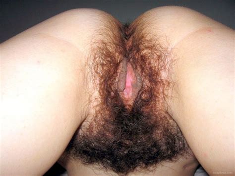 Hairiest Bush Ever Cumception