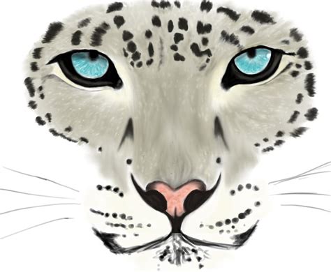 Snow Leopard Sketch By Lightshattered On Deviantart