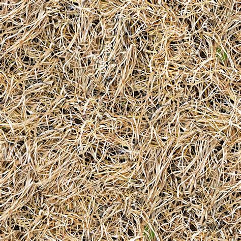Dry Grass Seamless Texture Tile Stock Photo By ©alliedcomputergraphics