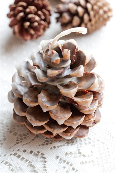 ️💜diy Snow Frosted Pine Cones Fire Starter Scented Pine Cones💜 ️ Musely