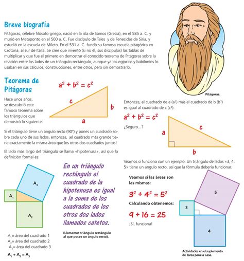 El Teorema De Pitágoras Escolar Abc Color