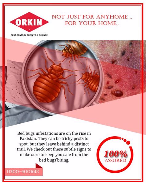 Pin By Friends Environmental Solution On Orkin Bed Bugs Infestation