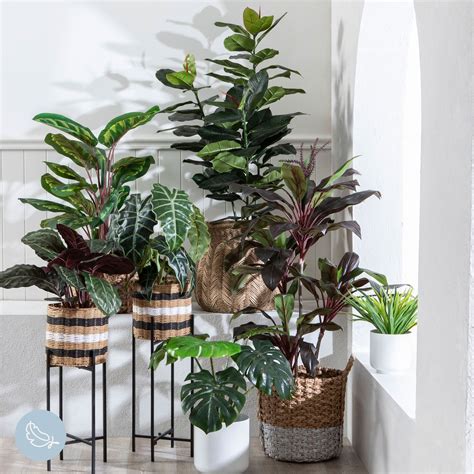 Shop From Pillow Talks Range Of Artificial Indoor Plants Add A