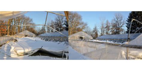 Ensure Your Greenhouses Withstand The Snow Load Morning Ag Clips