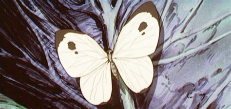 Found In A 1999 Anime What Butterfly Is This Rwhatsthisbug