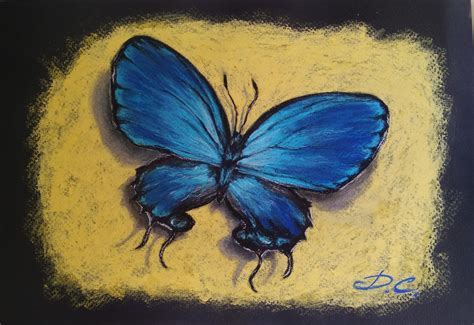 Soft Pastel Butterfly Soft Pastels Drawing Oil Pastels Butterfly