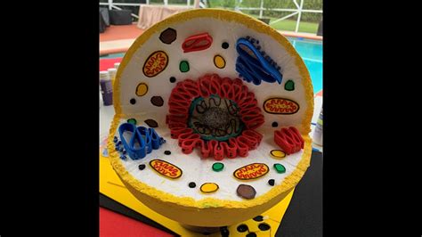 How To Make A 3d Animal Cell Model Eukaryotic Youtube