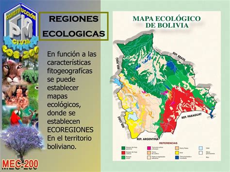 Ppt Ecosistemas En Bolivia Powerpoint Presentation Free Download Id 4941764