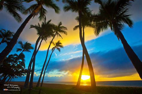 Maui Sunset Hawaii Photo Palm Trees Tropical Scenery Ocean Photography Kaanapali Beach Decor