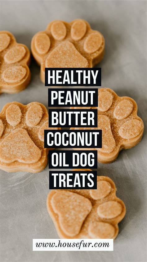 Healthy Homemade Peanut Butter Coconut Oil Dog Treats Recipe In 2023