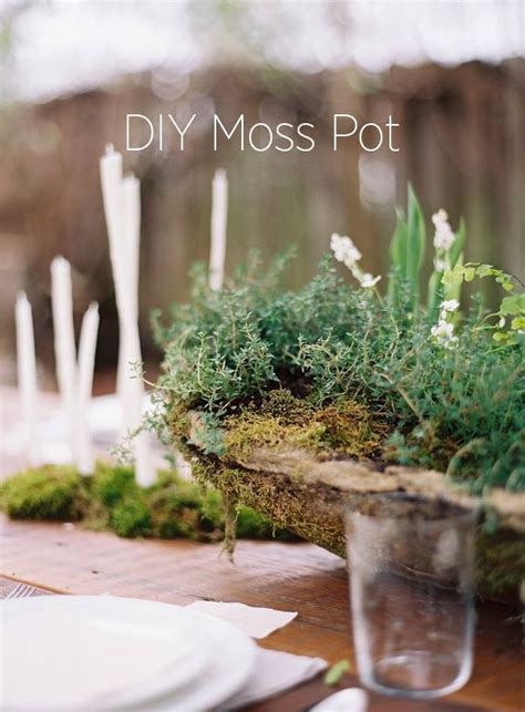 Love This Moss And Fern Centerpiece Wedding Centerpieces Diy