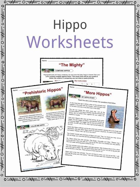 50 Unbelievable Fun Facts About Hippos Ultimate Guide 2024