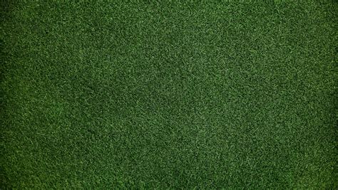 1360x768 Grass Background Laptop Hd Hd 4k Wallpapersimagesbackgroundsphotos And Pictures