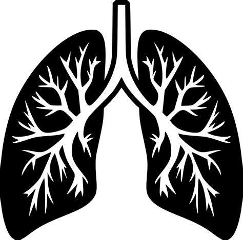 Lungs Png