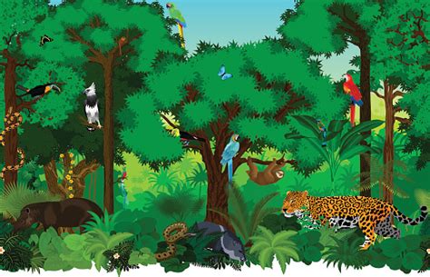 The rainforest is the oldest and most biodiverse ecosystem with scientists estimating some forests in southeast asia having existed 100 million years ago. Vector Seamless Tropical Rainforest Jungle Background ...