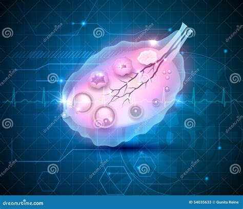 Female Ovary Abstract Blue Background Stock Vector Illustration Of Normal Health 54035633