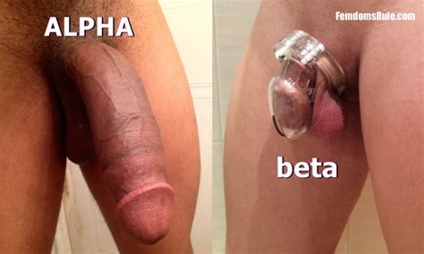 Alpha Male Vs Beta Male Freakden