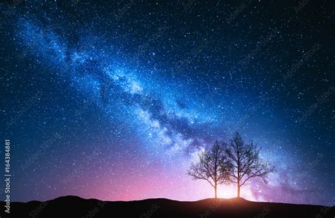 Starry Sky With Pink Milky Way And Trees Night Landscape With Alone