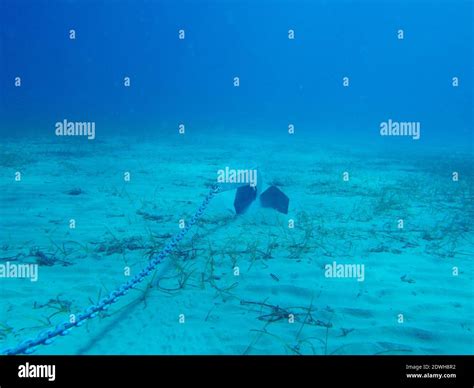 Anchor Ocean Floor Hi Res Stock Photography And Images Alamy
