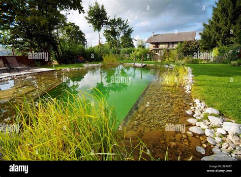 Natural Swimming Pond At Trevignin 74 Stock Photo Alamy