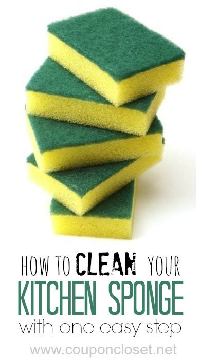 How To Clean Kitchen Sponge In One Easy Step One Crazy Mom