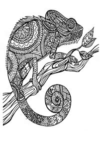 Mandalas de Animais para Colorir