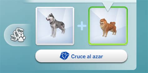 Análisis De Los Sims 4 Perros Y Gatos ¡llegan Las Mascotas Hobby