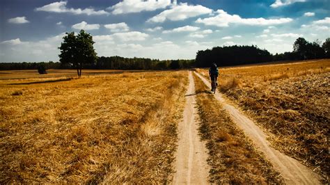 Free Images Landscape Tree Track Field Farm Prairie Morning