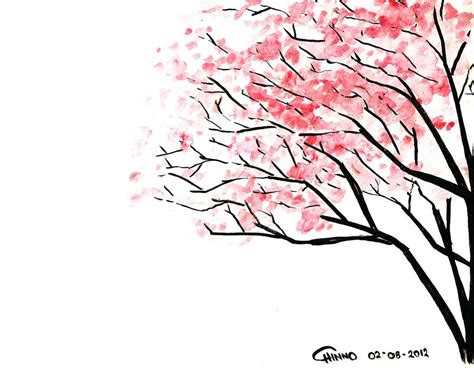 Cherry Blossoms Tree Drawing At Getdrawings Free Download