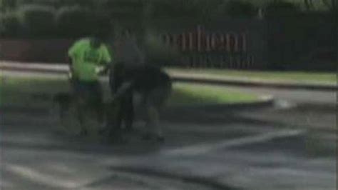 Anthem Bobcat Attack Injures 2 Men Dog Fox News