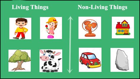 a2zworksheetsworksheet of living and non living thing
