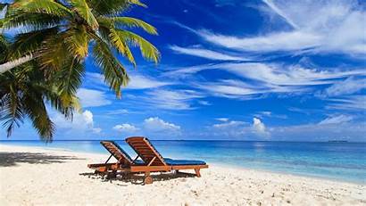 Palm Beach Tropical Paradise Trees Summer Chair