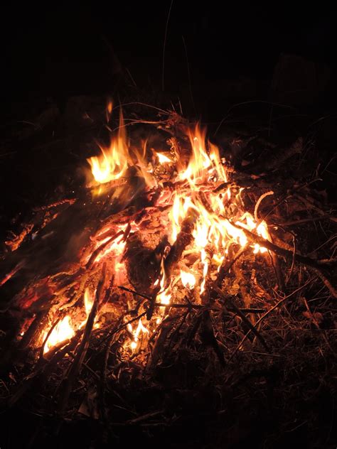 Free Images Flame Fire Darkness Campfire Bonfire 2448x3264
