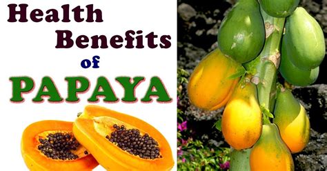 10 Health Benefits Of Papaya Factual Facts
