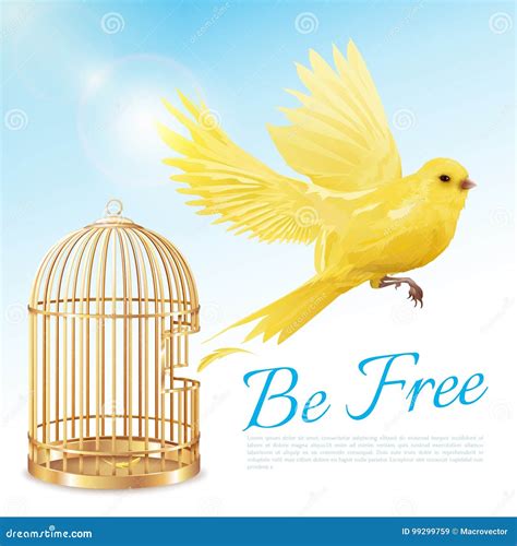 Canary Flying From Cage Poster Stock Vector Illustration Of Print