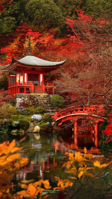 Japanese Nature Wallpaper 46 Images
