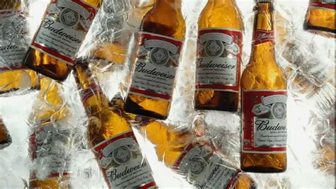 Budweiser "Grab Some Buds" - IWP Blog