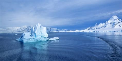 Elige los productos mientras esperas en la fila. La Antártida registra temperaturas récord de más de 20 ºC ...