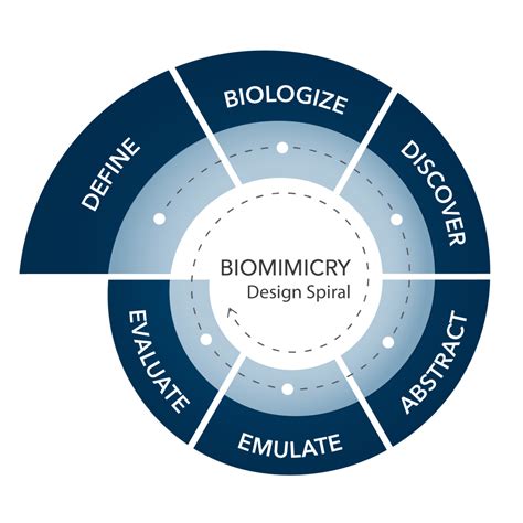 Biomimicry Nature As A Resource For Ideas And Clever Innovations
