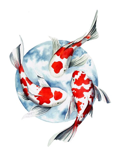 Koi Fish Prints In Different Sizes Fish Drawings Fish Art Koi Fish