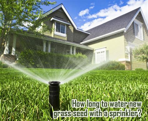 How Long To Water New Grass Seed With A Sprinkler