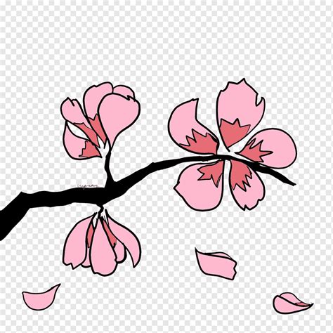 Cherry Blossom Branch Flower Sakura Tree Herbaceous Plant Plant Stem