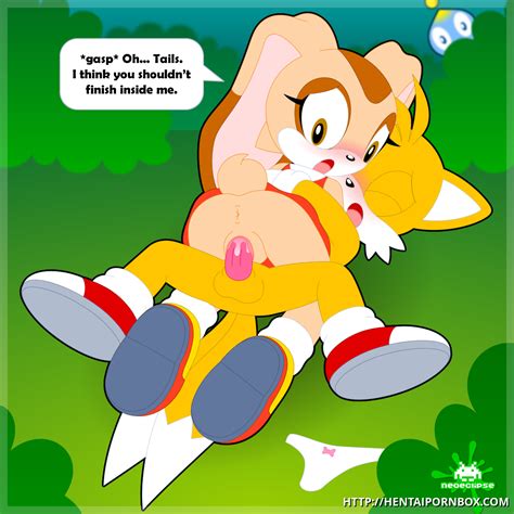 rule 34 bunny girl chao sonic cheese the chao cream the rabbit cum cum in pussy cum inside