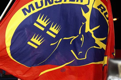 St patricks day 2020 ireland rugby shirt vine irish flag. Munster Flag | Munster rugby, Flag, Rugby