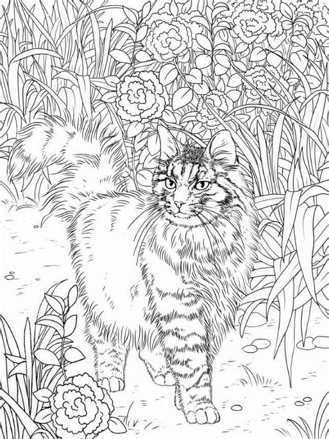 Cat Coloring Pages For Adults Part 4