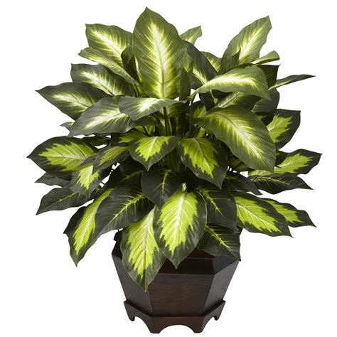 Nearly Natural Nearly Natural Triple Golden Dieffenbachia 