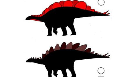 How To Sex A Dinosaur Iflscience