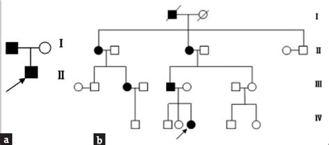 Identification Of Two Novel Frameshift Mutations Of The Adar1 Gene In